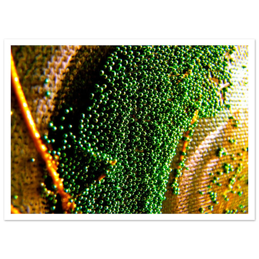 a4ac44a1-e54a-43a2-8964-eafbb3980d64